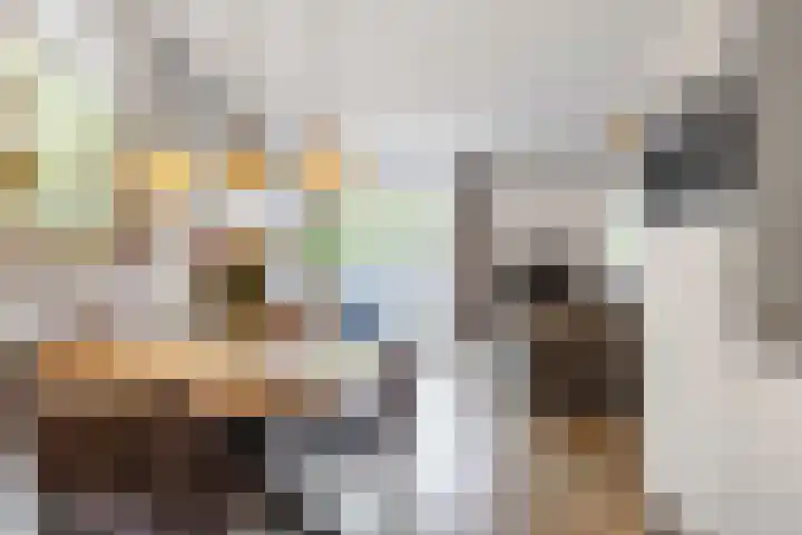 Welhaak 65 Delfzijl thumbnail 17