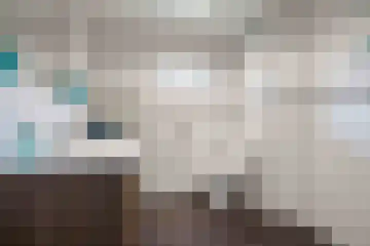 Welhaak 65 Delfzijl thumbnail 30