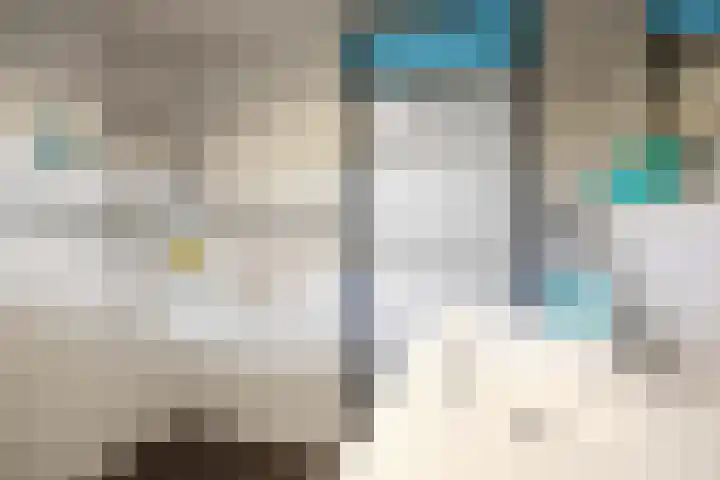 Welhaak 65 Delfzijl thumbnail 33