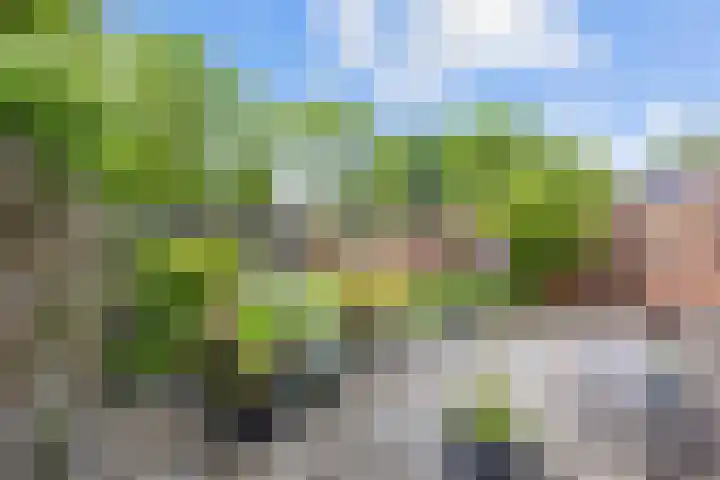 Welhaak 65 Delfzijl thumbnail 38