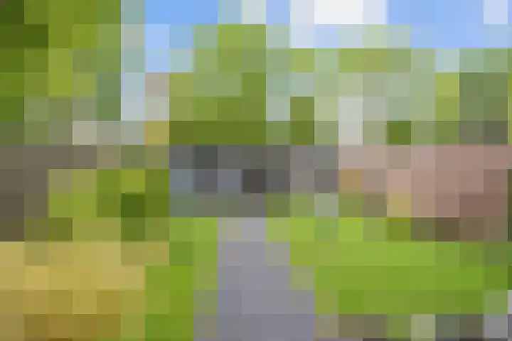 Welhaak 65 Delfzijl thumbnail 41