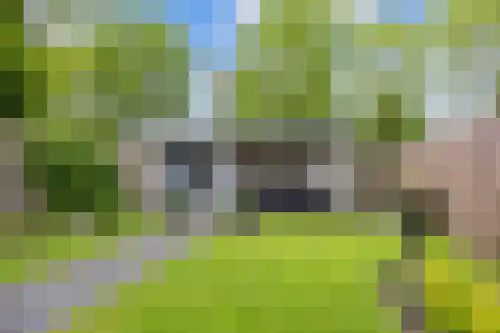 Welhaak 65 Delfzijl thumbnail 42