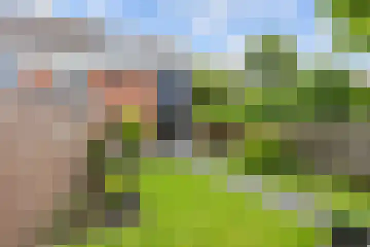 Welhaak 65 Delfzijl thumbnail 45