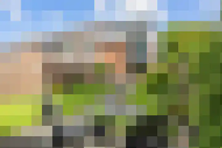 Welhaak 65 Delfzijl thumbnail 46
