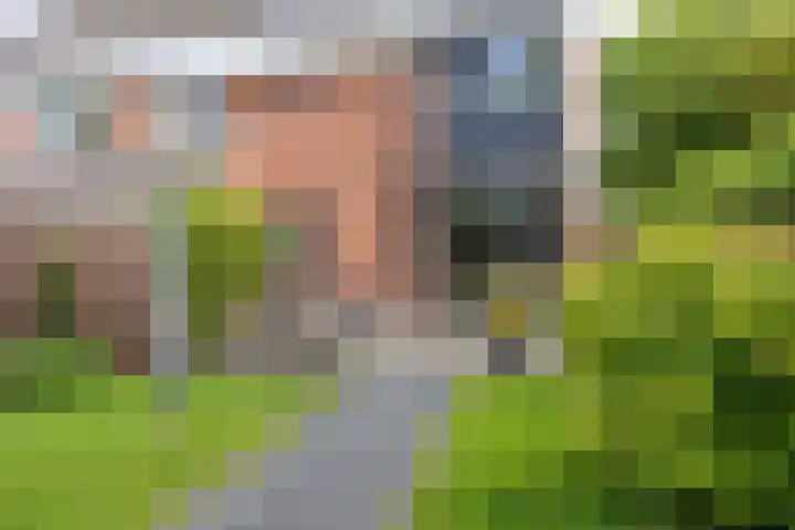 Welhaak 65 Delfzijl thumbnail 47