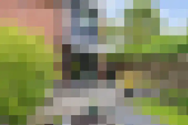 Welhaak 65 Delfzijl thumbnail 48