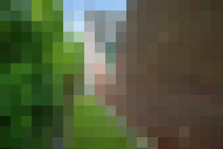 Welhaak 65 Delfzijl thumbnail 49