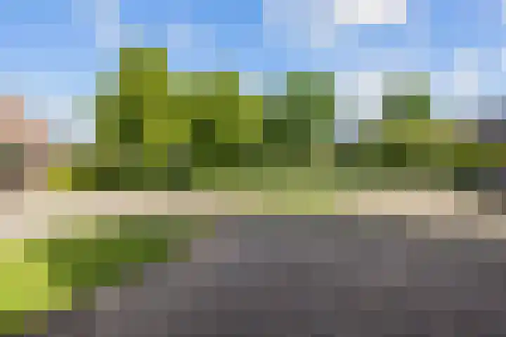 Welhaak 65 Delfzijl thumbnail 54