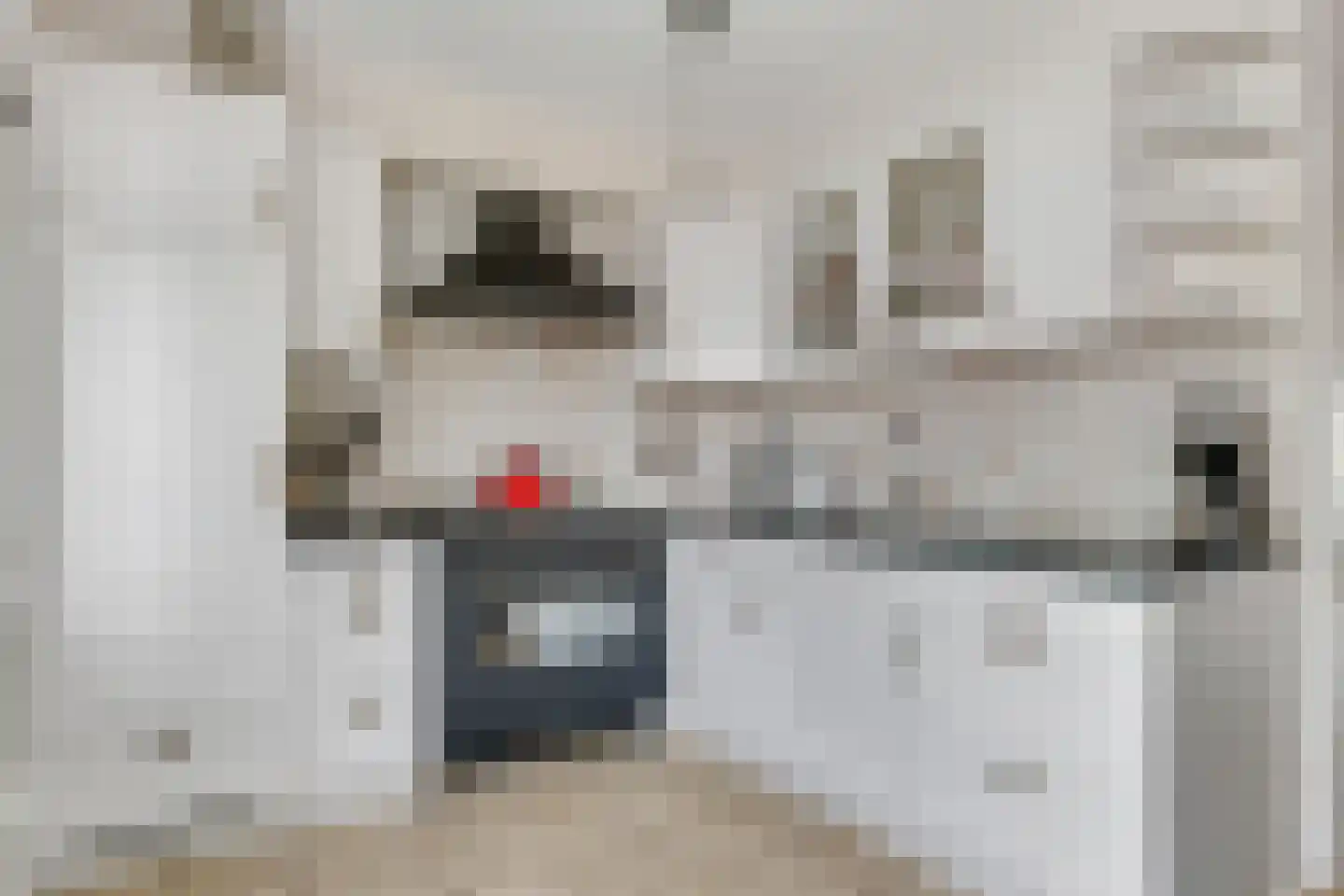 Welhaak 7 Hasselt thumbnail 5