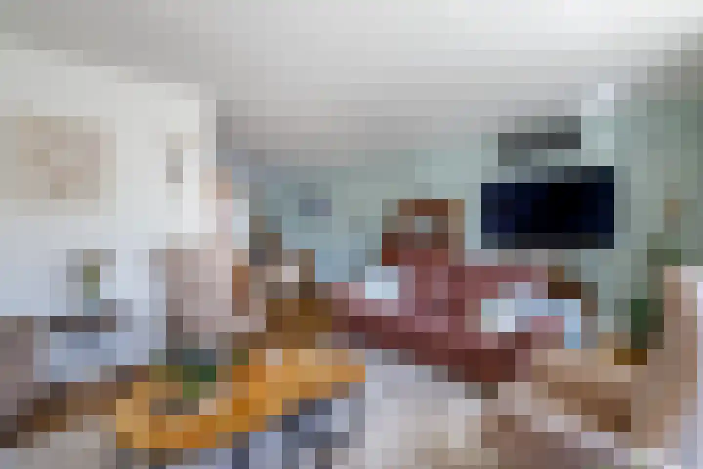 Welhaak 9 Vriezenveen thumbnail 11