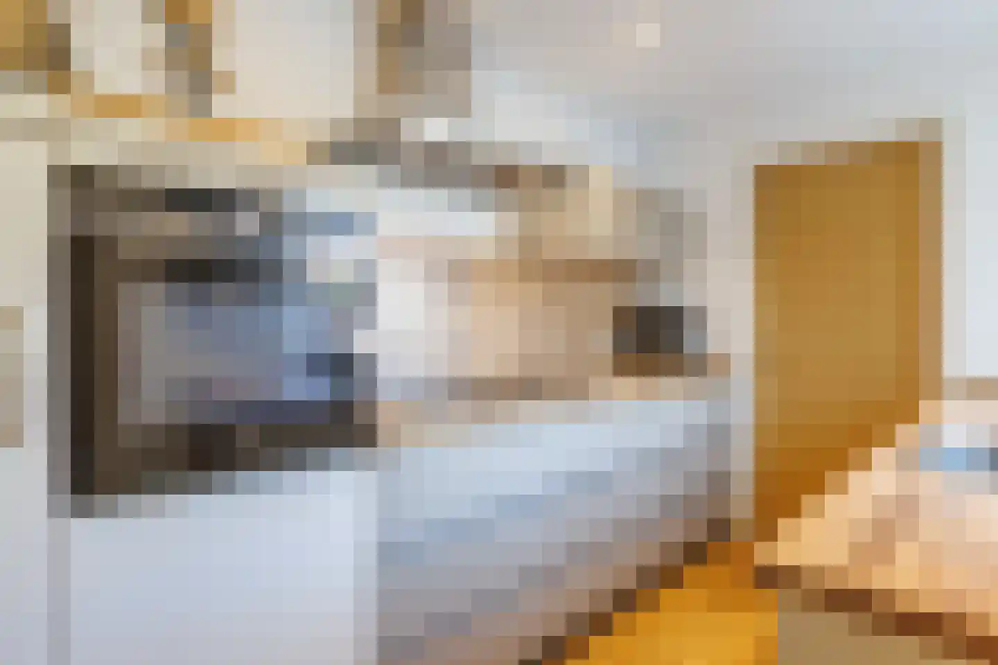 Welhaak 9 Vriezenveen thumbnail 17