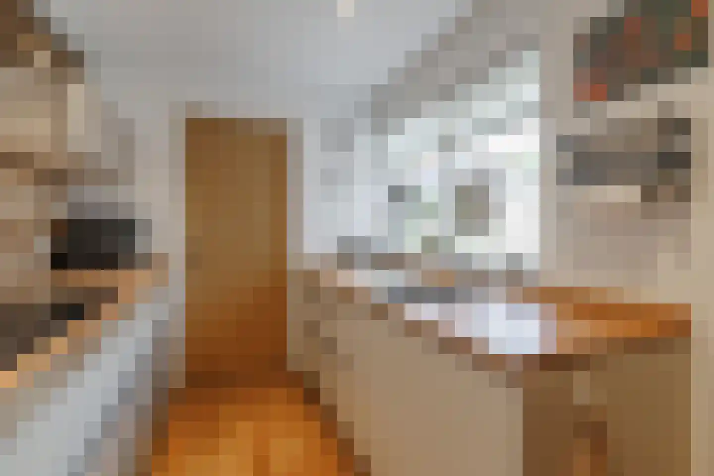 Welhaak 9 Vriezenveen thumbnail 18