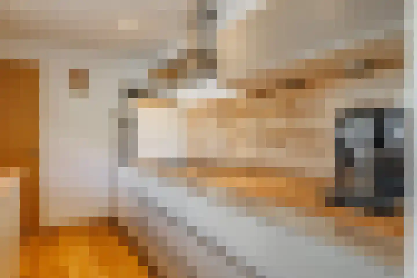 Welhaak 9 Vriezenveen thumbnail 20