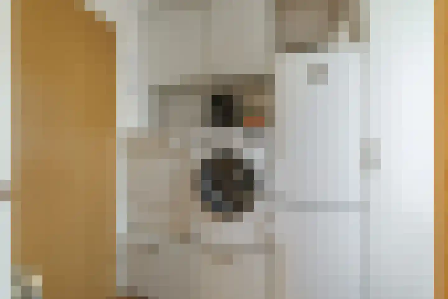 Welhaak 9 Vriezenveen thumbnail 21