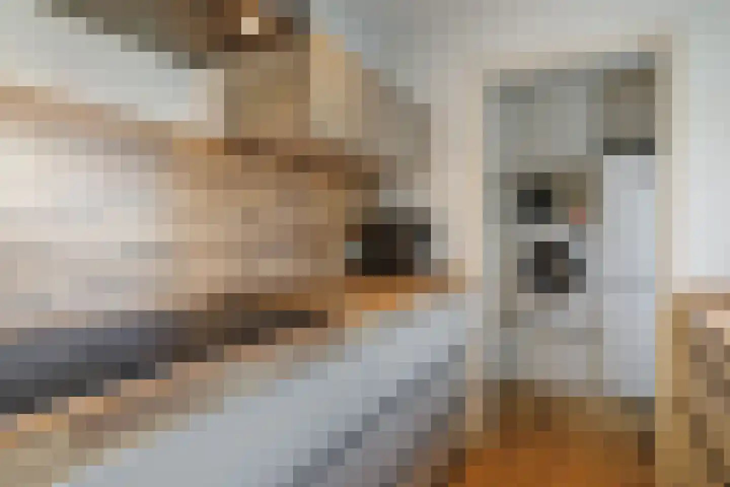 Welhaak 9 Vriezenveen thumbnail 22