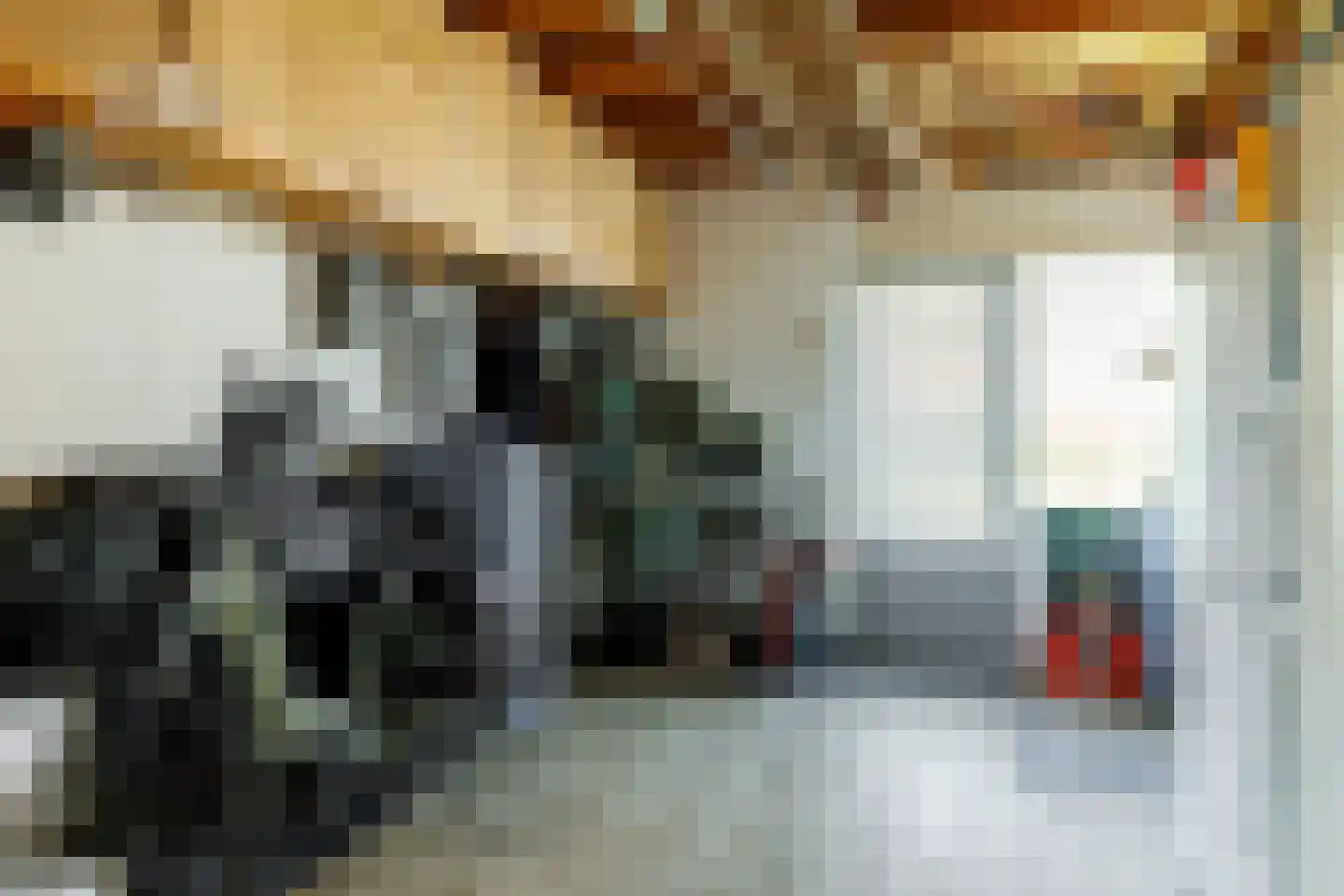 Welhaak 9 Vriezenveen thumbnail 30