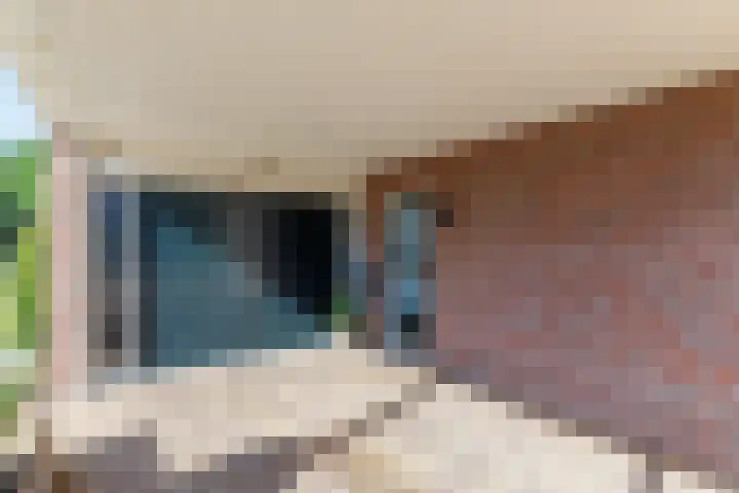 Welhaak 9 Vriezenveen thumbnail 34
