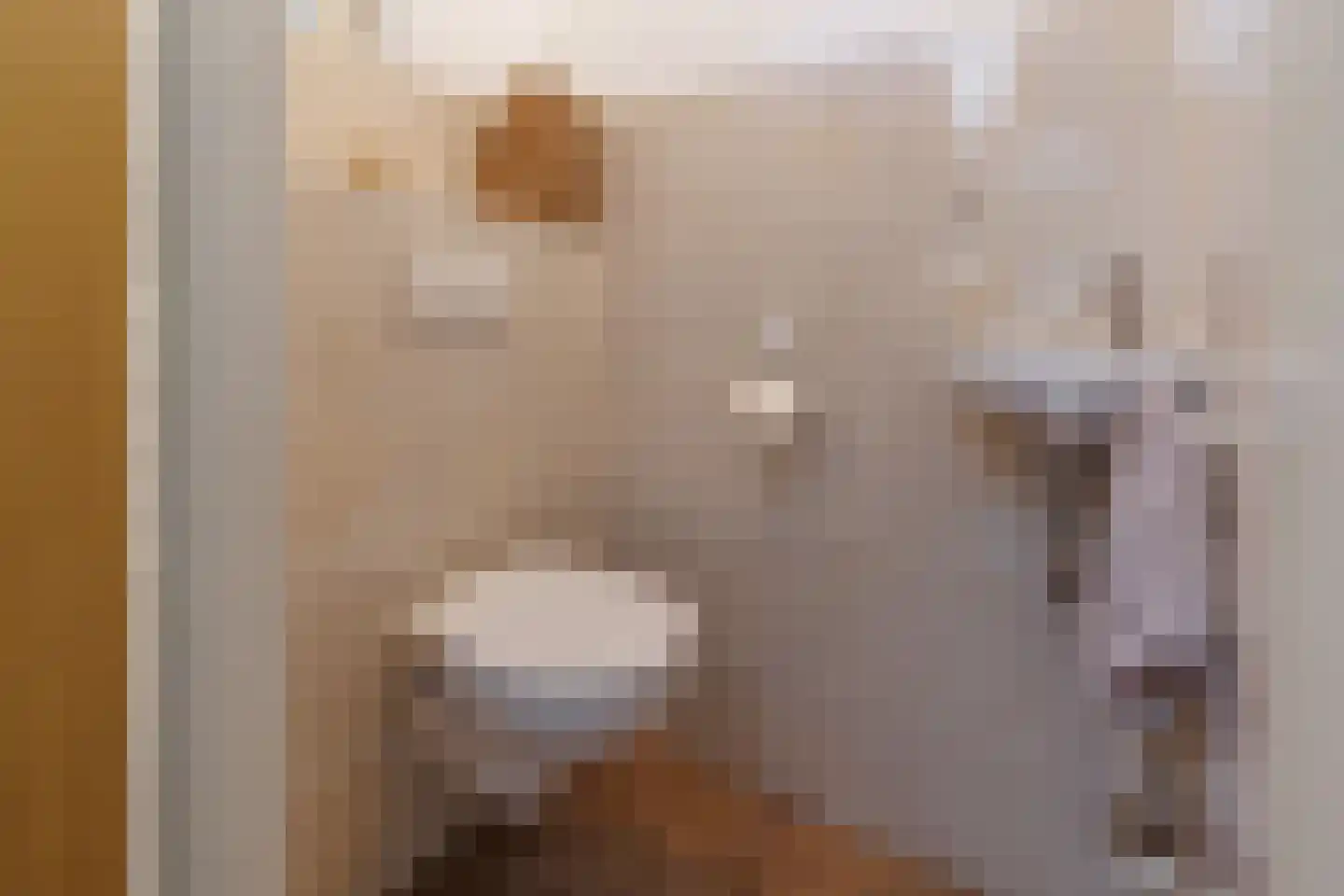 Welhaak 9 Vriezenveen thumbnail 7