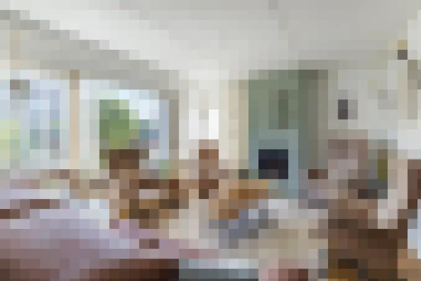 Welhaak 9 Vriezenveen thumbnail 8