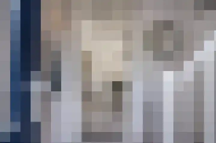 Welheugte 12 Assen thumbnail 13