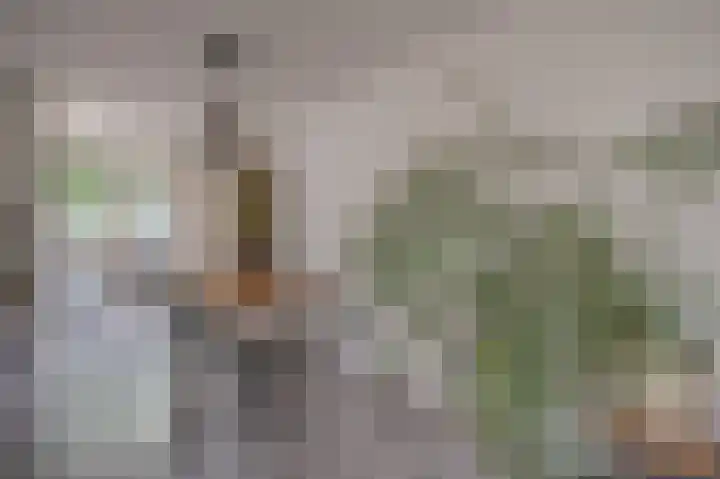 Welheugte 12 Assen thumbnail 18