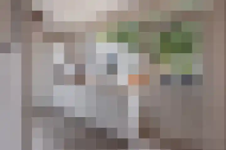Welheugte 12 Assen thumbnail 19