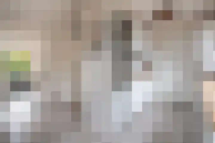 Welheugte 12 Assen thumbnail 20