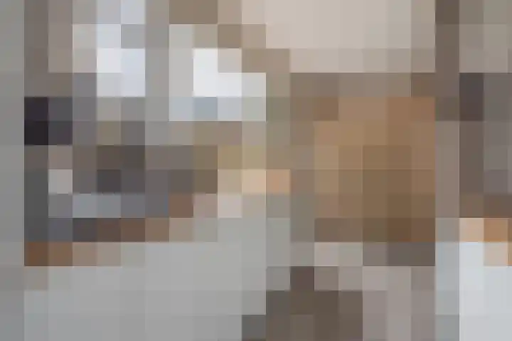 Welheugte 12 Assen thumbnail 22