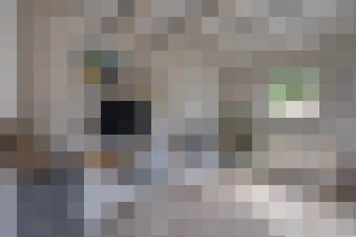 Welheugte 12 Assen thumbnail 27