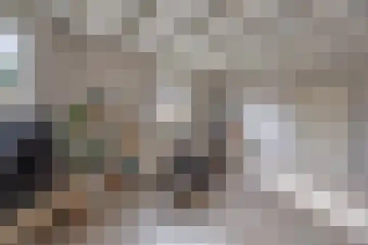 Welheugte 12 Assen thumbnail 28