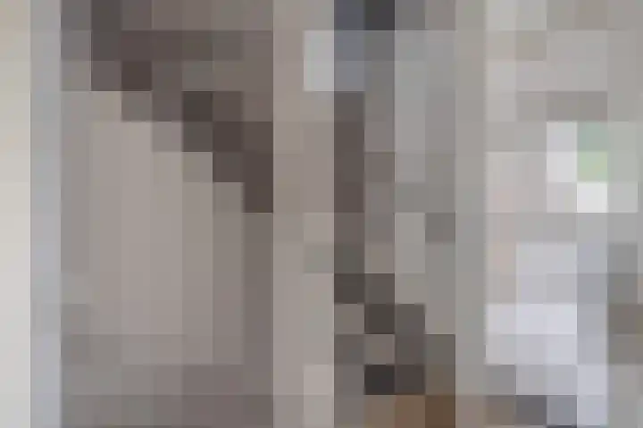 Welheugte 12 Assen thumbnail 31
