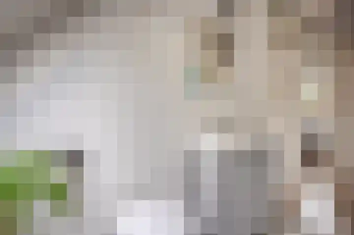 Welheugte 12 Assen thumbnail 34