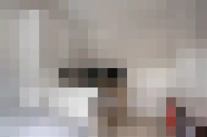 Welheugte 12 Assen thumbnail 36