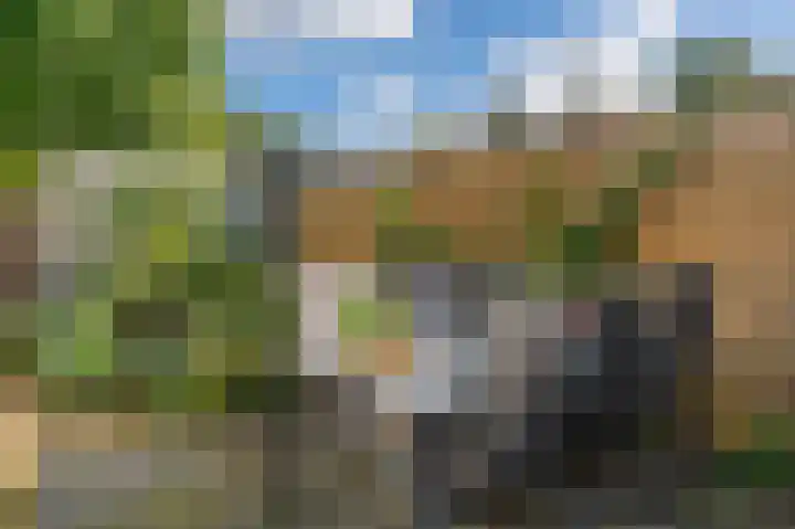 Welheugte 12 Assen thumbnail 44
