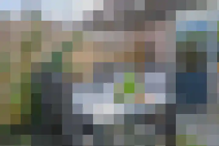Welheugte 12 Assen thumbnail 45