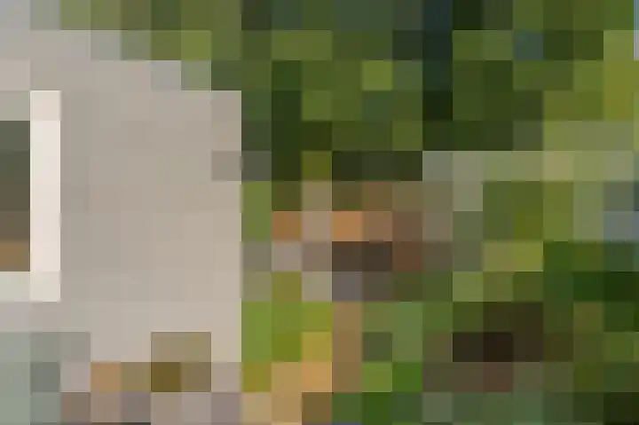 Welheugte 12 Assen thumbnail 47