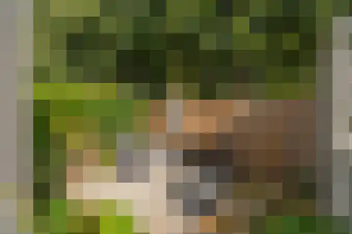 Welheugte 12 Assen thumbnail 49