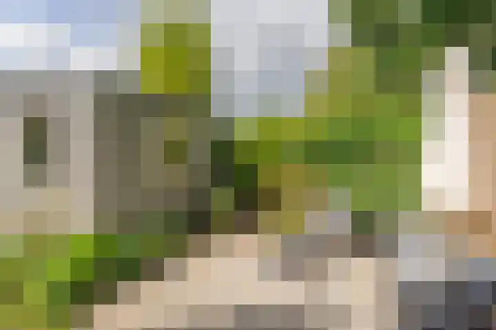 Welheugte 12 Assen thumbnail 50