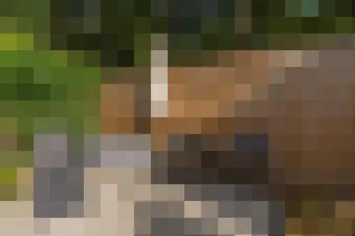 Welheugte 12 Assen thumbnail 51