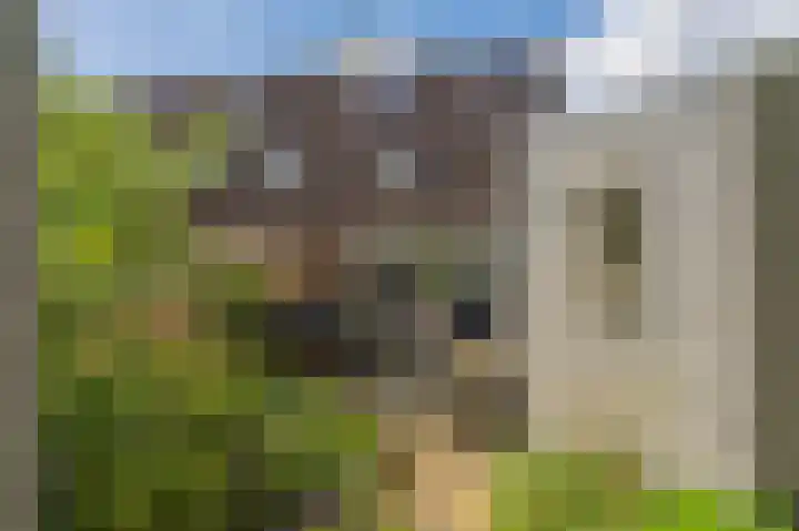 Welheugte 12 Assen thumbnail 55