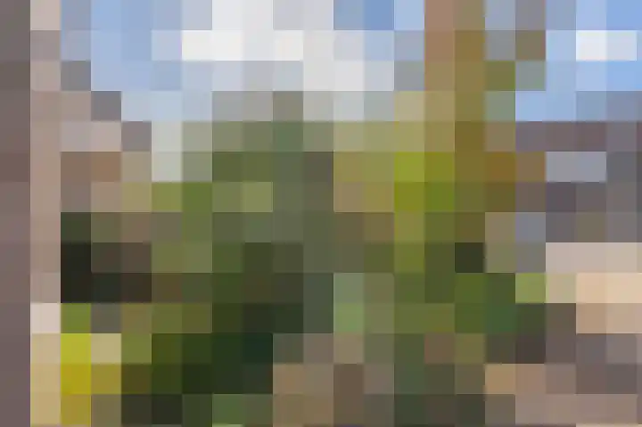 Welheugte 12 Assen thumbnail 9