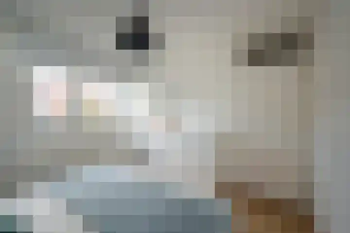Welheugte 15 Assen thumbnail 23