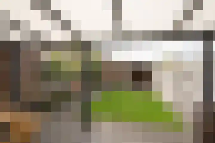 Welheugte 15 Assen thumbnail 41