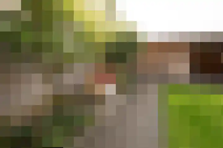 Welheugte 15 Assen thumbnail 42