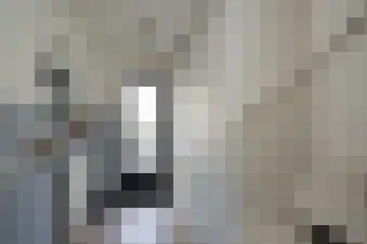 Welheugte 15 Assen thumbnail 7