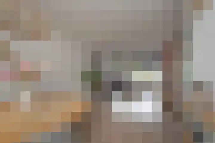 Welheugte 15 Assen thumbnail 9