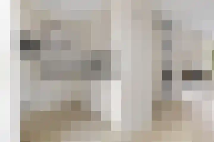 Welheugte 17 Assen thumbnail 11