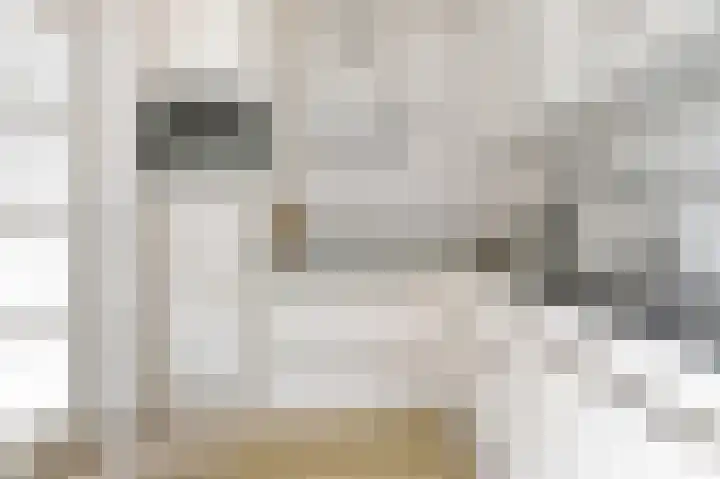Welheugte 17 Assen thumbnail 12
