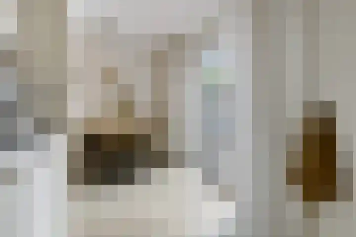 Welheugte 17 Assen thumbnail 14