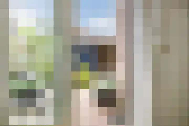 Welheugte 17 Assen thumbnail 18
